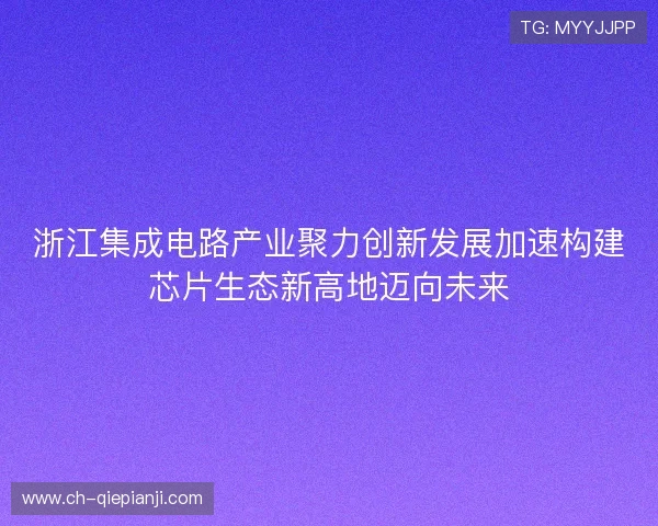 浙江集成电路产业聚力创新发展加速构建芯片生态新高地迈向未来